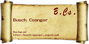 Busch Csongor névjegykártya